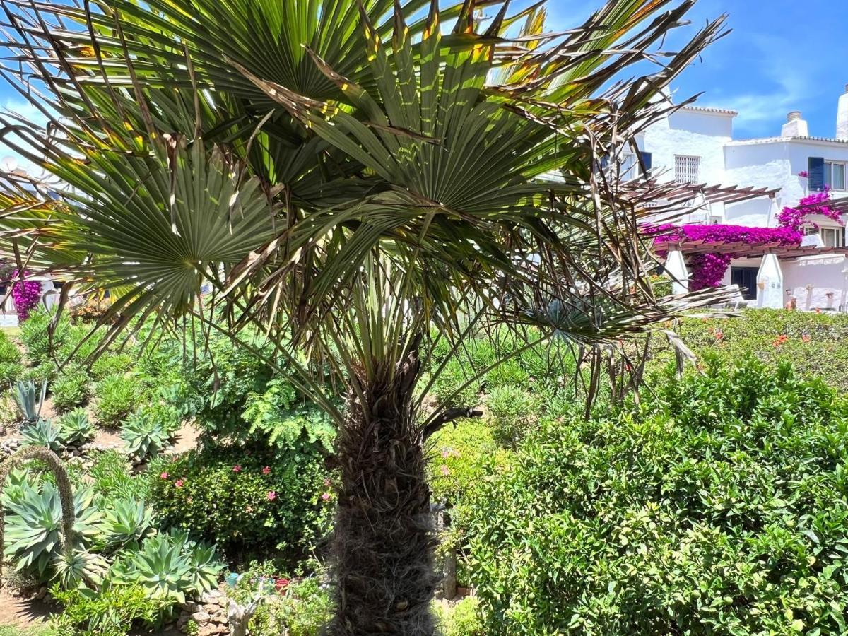 Newly Renovated 2 Bedroom Beachfront House Sitio de Calahonda Zewnętrze zdjęcie