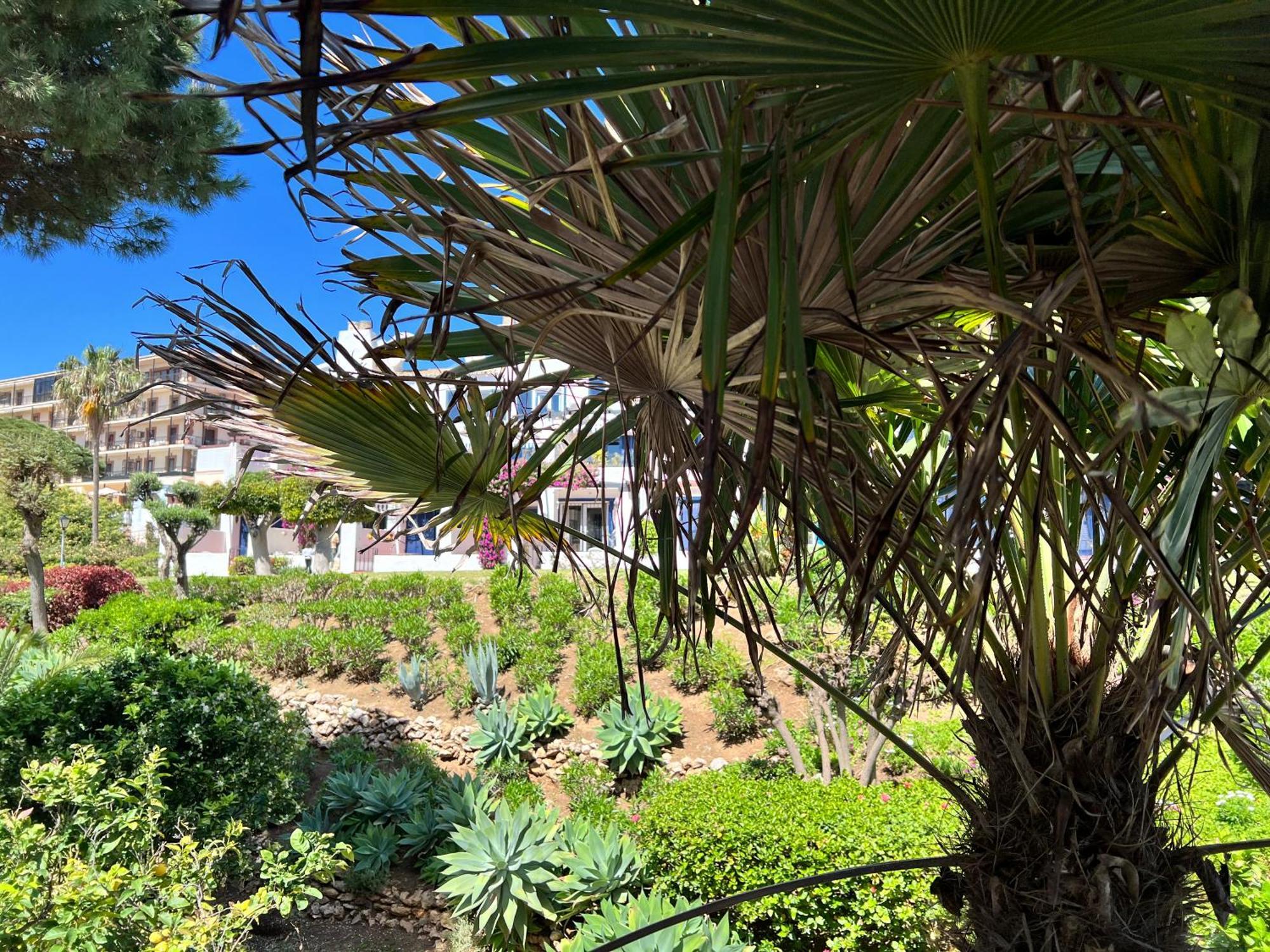 Newly Renovated 2 Bedroom Beachfront House Sitio de Calahonda Zewnętrze zdjęcie